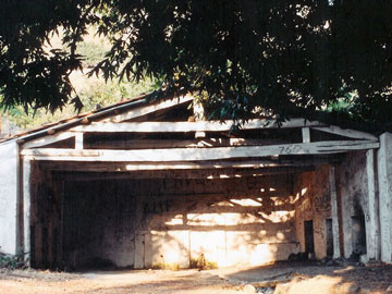 Το νέο έτος μέσα από τις…πηγές