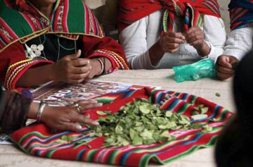 Χρήση κόκας πριν από 8.000 χρόνια