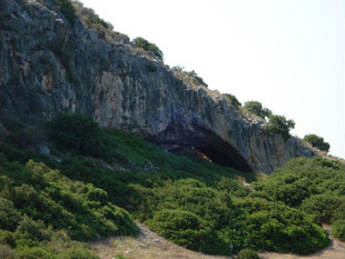 «Λίφτινγκ» στο σπίτι του Χόμο Σάπιενς