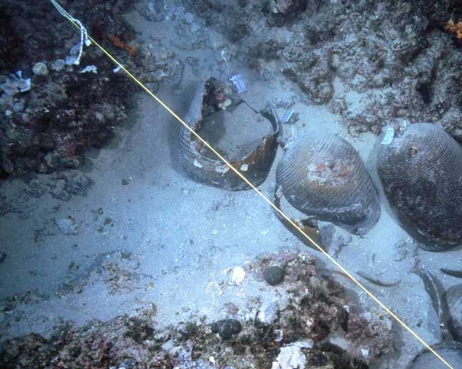 Υστερορωμαϊκοί αμφορείς όπως βρέθηκαν κατά τη διάρκεια της ανασκαφής στο ναυάγιο 7, στον Όρμο Τηλέγραφος του νότιου Παγασητικού Κόλπου.