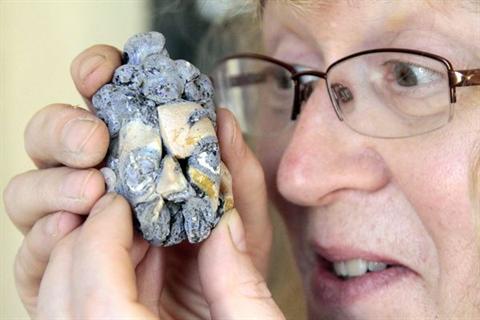 Η Φρερ της Αθώρ