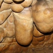 Μπάμπεργκ: Ερωτική τέχνη από την Εποχή του Λίθου