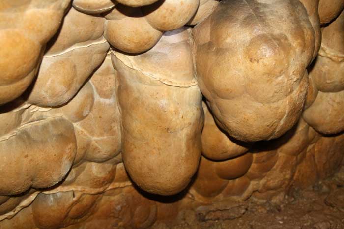 Μπάμπεργκ: Ερωτική τέχνη από την Εποχή του Λίθου