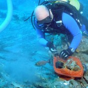 Τα μυστικά του «Μέντορα»