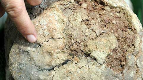 Δακτυλικά αποτυπώματα 8500 ετών