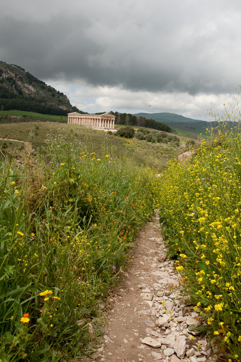 Segesta temple 3