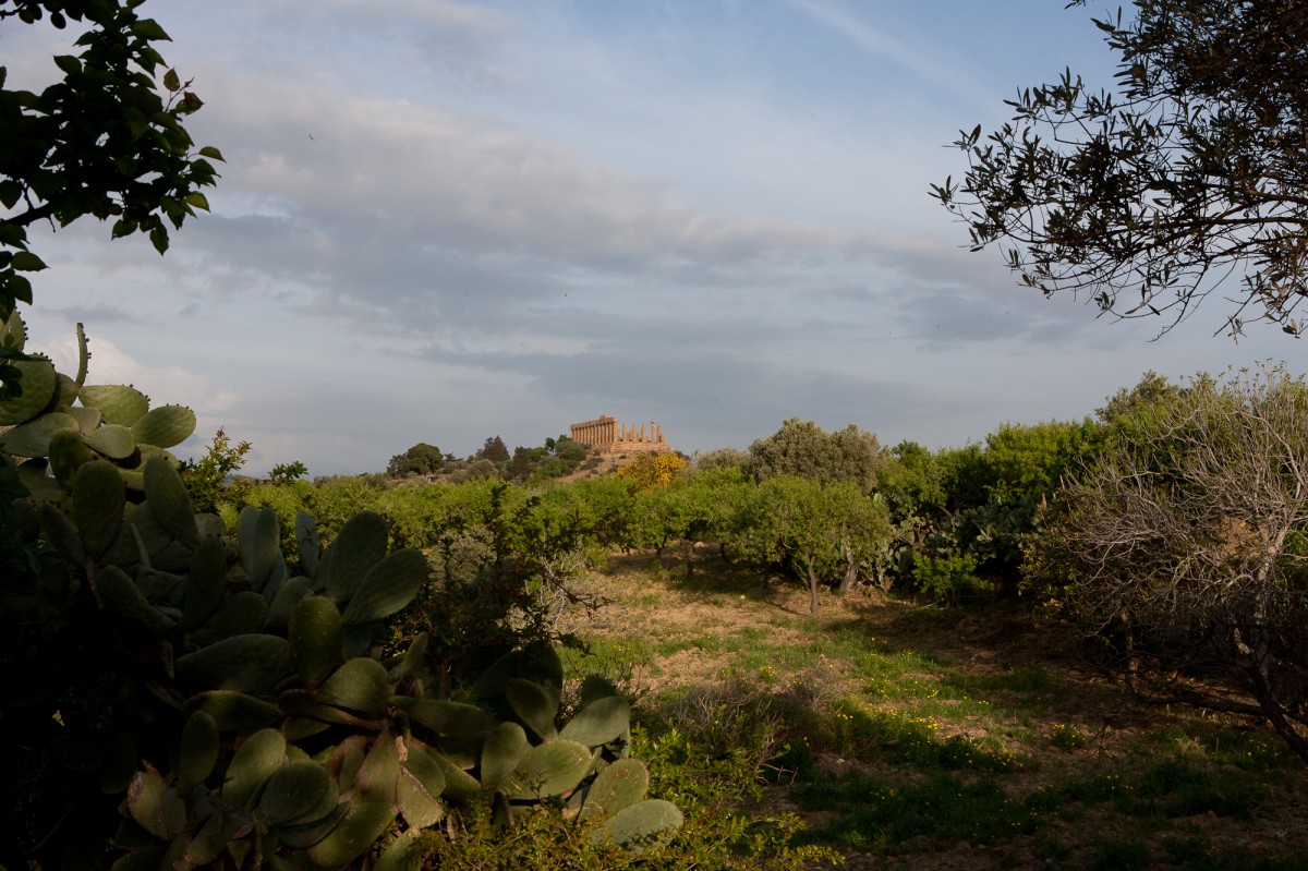 Valley of the Temples  7
