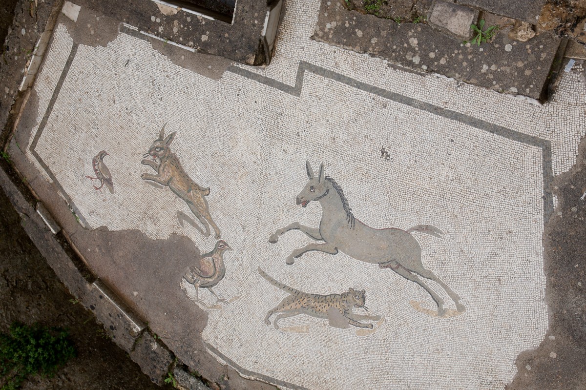 Vila Romana del Casale 3