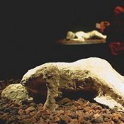 Αλυσοδεμένος για πάντα στην Πομπηία