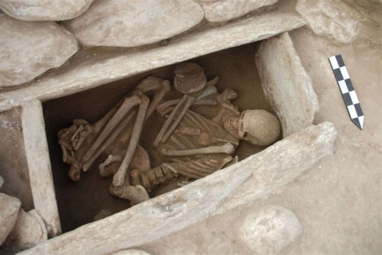 Ταφή που ήρθε στο φως κατά τις ανασκαφές στο προϊστορικό νεκροταφείο στην περιοχή Λογκά Ελάτης.