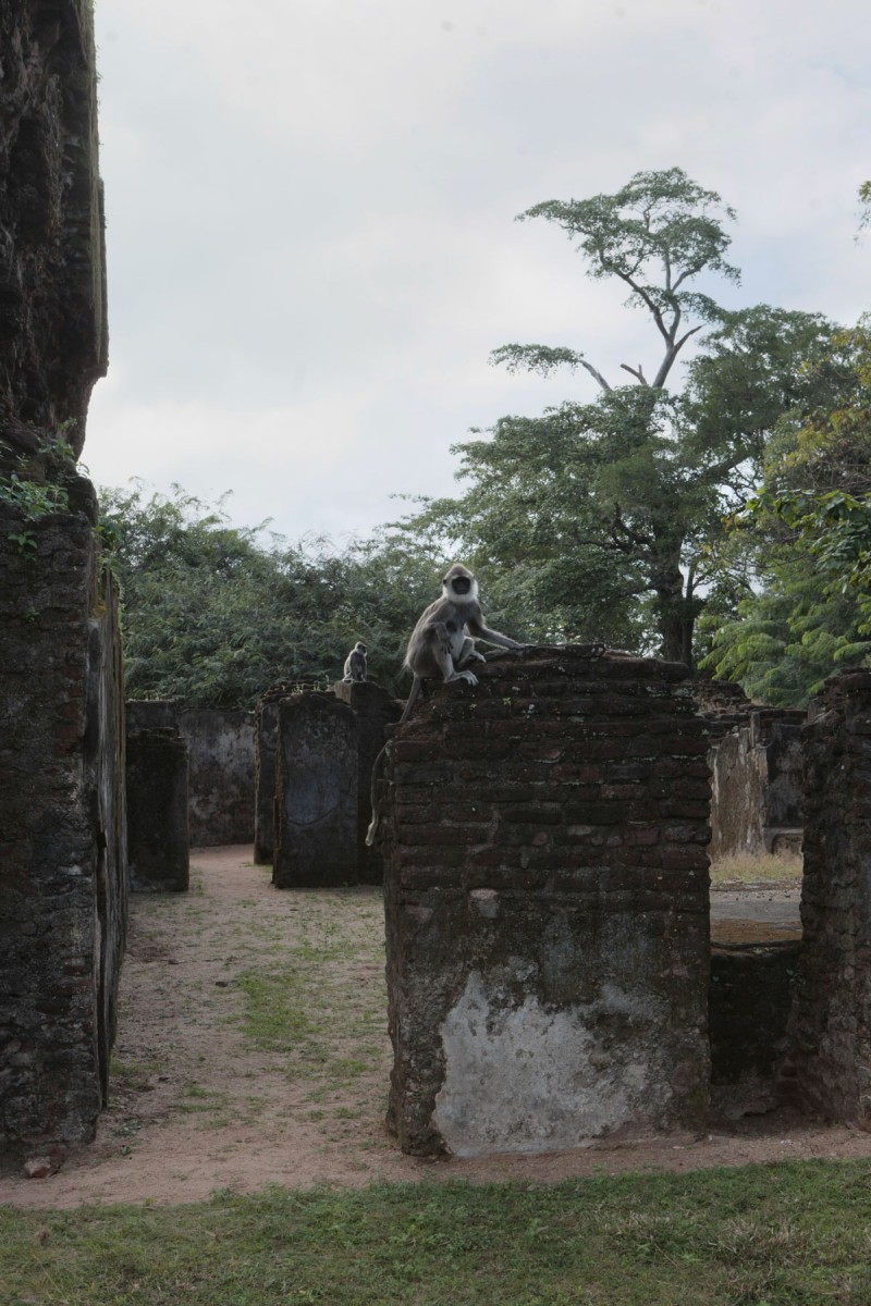 Polonnaruwa (Vijayotpaya) III