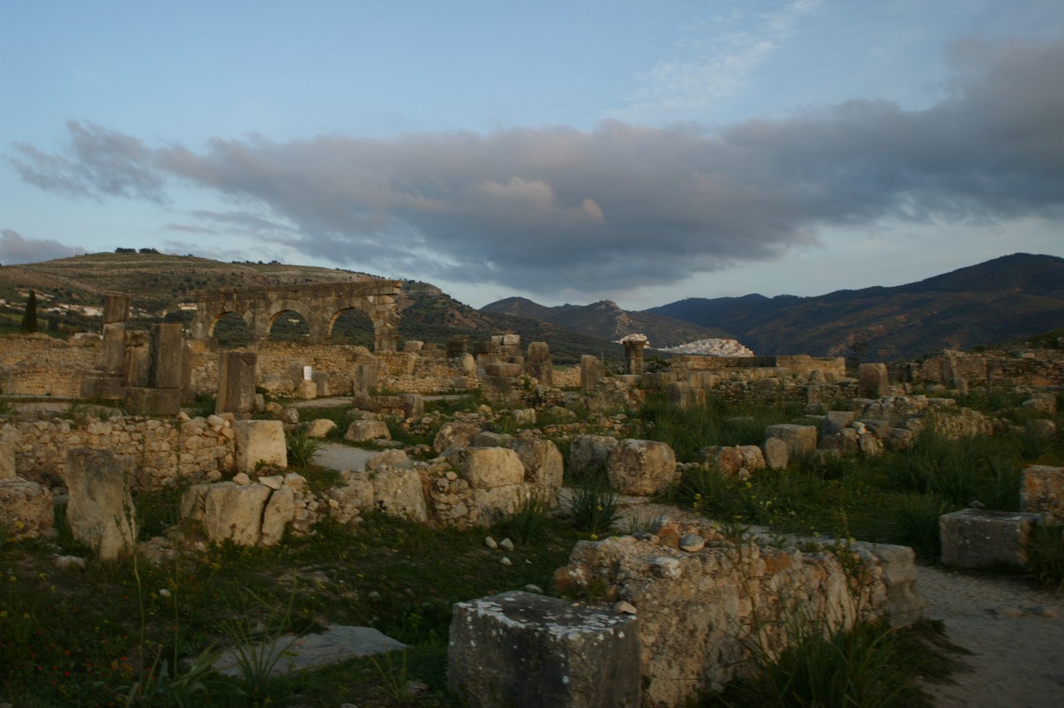 Volubilis Abstract