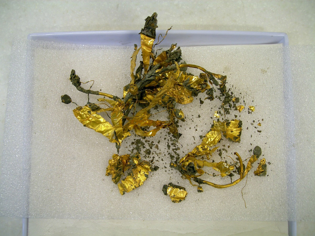 Χρυσό στεφάνι ελιάς που βρέθηκε στο εσωτερικό ασημένιου παναθηναϊκού αμφορέα στις Αιγές. 