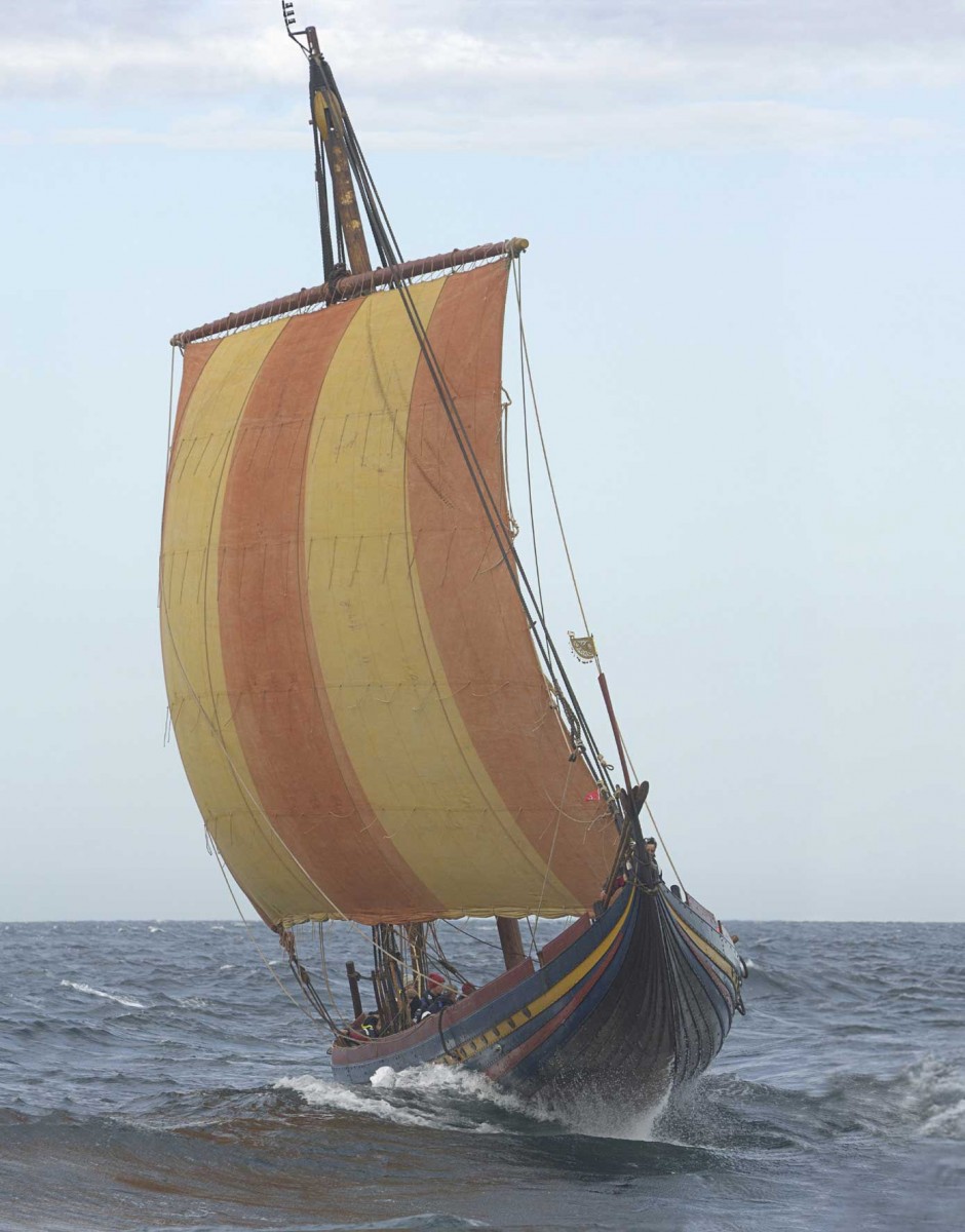 Όπου πήγαιναν οι Βίκινγκς, τους ακολουθούσαν και ποντίκια...