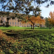 Καθηγητής κλασικών σπουδών και αρχαίας ιστορίας