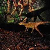 Οι δεινόσαυροι μας περιμένουν στο Μουσείο Φυσικής Ιστορίας Κρήτης