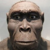 Βρέθηκαν ίχνη νέου προγόνου του ανθρώπου