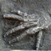 Κομμένα χέρια αποκαλύπτουν οι αρχαιολόγοι στην Άβαρη
