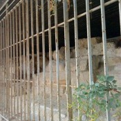 Νέα μελέτη για τα αρχαία τείχη του Πειραιά στη Μαρίνα Ζέας