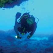 Το πρώτο στην Ελλάδα υποβρύχιο μουσείο-πάρκο στην Αλόννησο