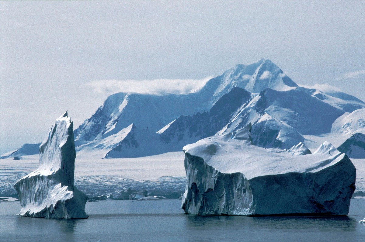 «Αποστολή: Παγωμένη Ανταρκτική». Η δημοφιλής έκθεση του Μουσείου Φυσικής Ιστορίας του Λονδίνου παρουσιάζεται στο Κέντρο Πολιτισμού «Ελληνικός Κόσμος».
