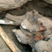 Αγόρι βρήκε… μαμούθ!