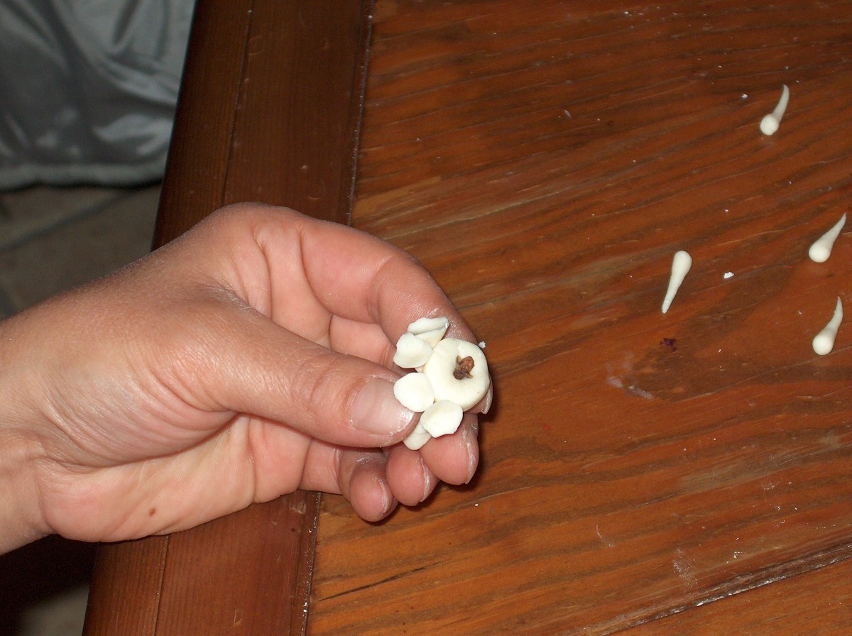 Κεντήματα στο κουλούρι του γάμου, Ευρωπαϊκό Μουσείο Άρτου