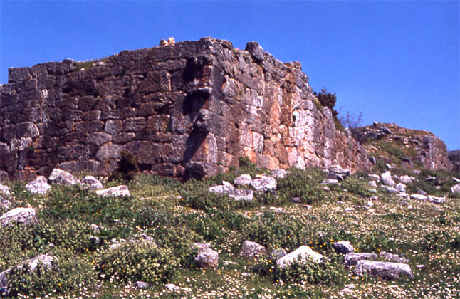 Άποψη του τείχους της ακρόπολης του Πελινναίου.