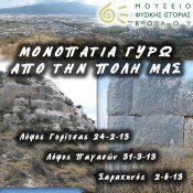 Φυσικά μνημεία του Λόφου της Γορίτσας