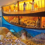 Φέρνοντας στο φως το αρχαιότερο ποντοπόρο πλοίο