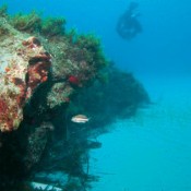 Θερινό Σχολείο «Aegean Maritime Archaeology» στην Άνδρο