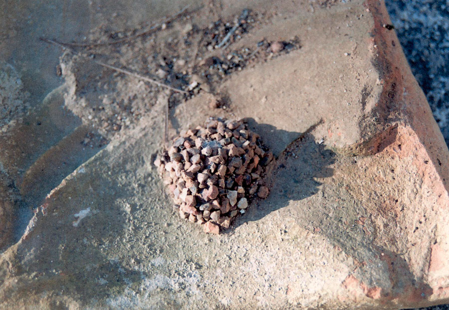 Εικ. 21. Υστερορωμαϊκή κεραμίδα από ανασκαφικό αποθέτη της Ήλιδας με έντονο αρνητικό κογχοειδούς, προφανώς τυχαίας απόκρουσης. Ακριβώς δίπλα, φωλιά χτισμένη με μικρές κροκάλες για τη προνύμφη (λάρβα) εντόμου.