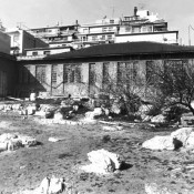 Περιοδικές εκθέσεις θα φιλοξενεί το παλαιό αρχαιολογικό μουσείο Πειραιά