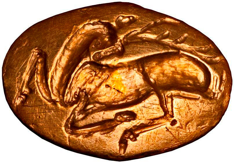 Τα σπουδαία ευρήματα του Μεδεώνα αποτελούν μόνιμα εκθέματα της Αρχαιολογικής Συλλογής Διστόμου.