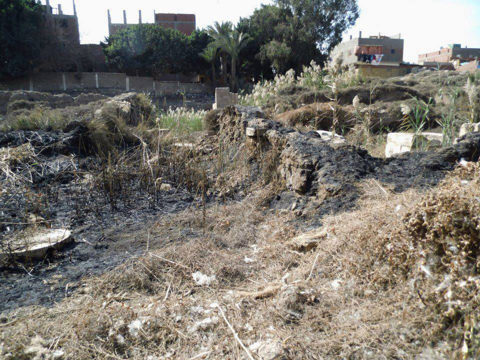 Egypt’s Heritage Task Force