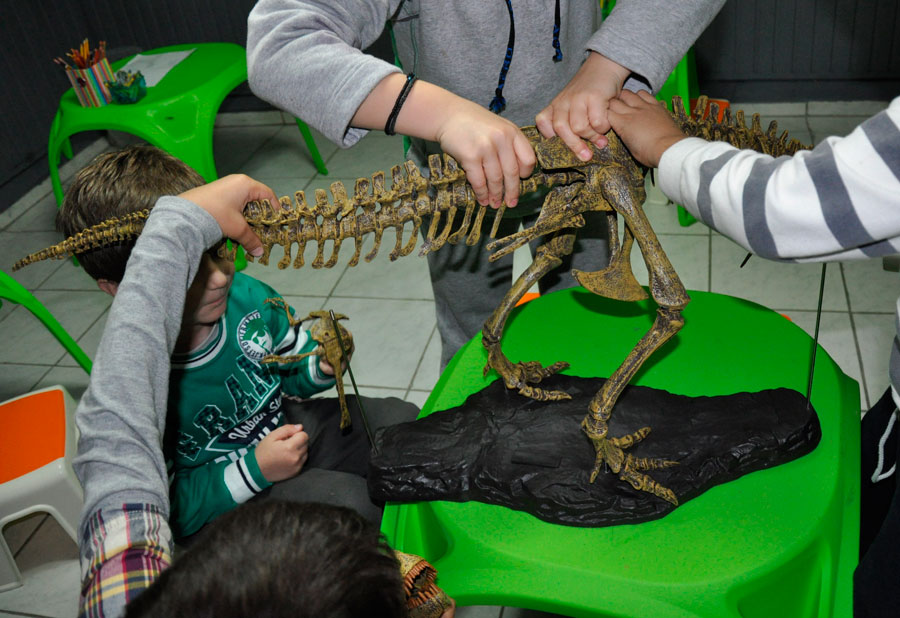 Από το εκπαιδευτικό πρόγραμμα «Ανακάλυψε τους Δεινόσαυρους» στο Μουσείο Φυσικής Ιστορίας Βόλου.