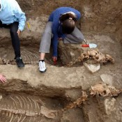 Άμαξα 2.500 χρόνων αποκαλύφθηκε στο Σβεστάρι