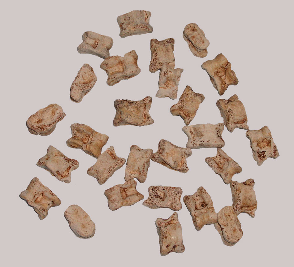 Αποτέλεσμα εικόνας για κοτσια αρχαιο παιχνιδι