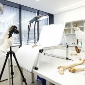 Νέα γενετική ανάλυση φωτίζει την προϊστορική Ευρώπη