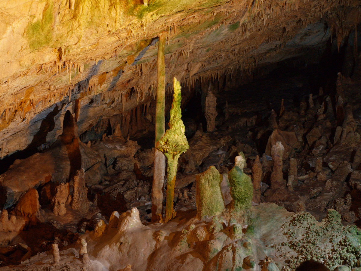 Εικ. 38. Σπήλαιο Κουτούκι. Ο λιθωματικός διάκοσμος του σπηλαίου πριν τον καθαρισμό της χλωρίδας.
