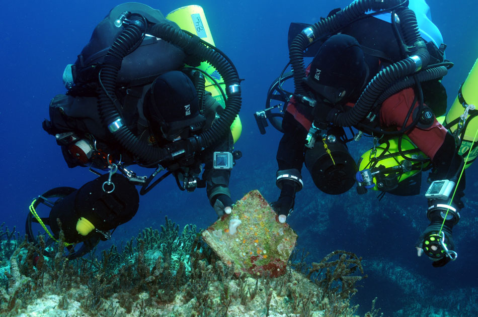 Έξι αρχαία ναυάγια και πέντε αγκυροβόλια εντοπίστηκαν στη διάρκεια της υποβρύχιας αρχαιολογικής έρευνας (φωτ. Εφορεία Εναλίων Αρχαιοτήτων).