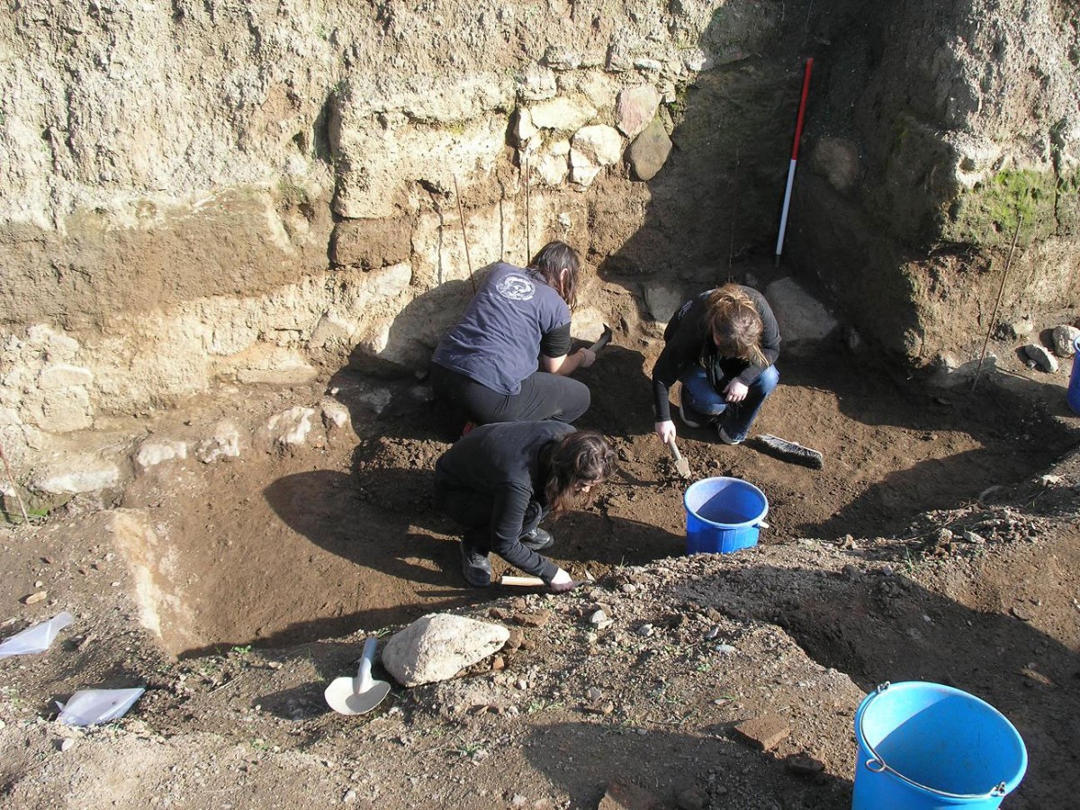 Άποψη των ανασκαφικών εργασιών στο τμήμα του τείχους της Βεργίνας που ανασκάπτεται από το ΑΠΘ, στον αγρό Φιλώτα και Γεωργίου Μπέλα.