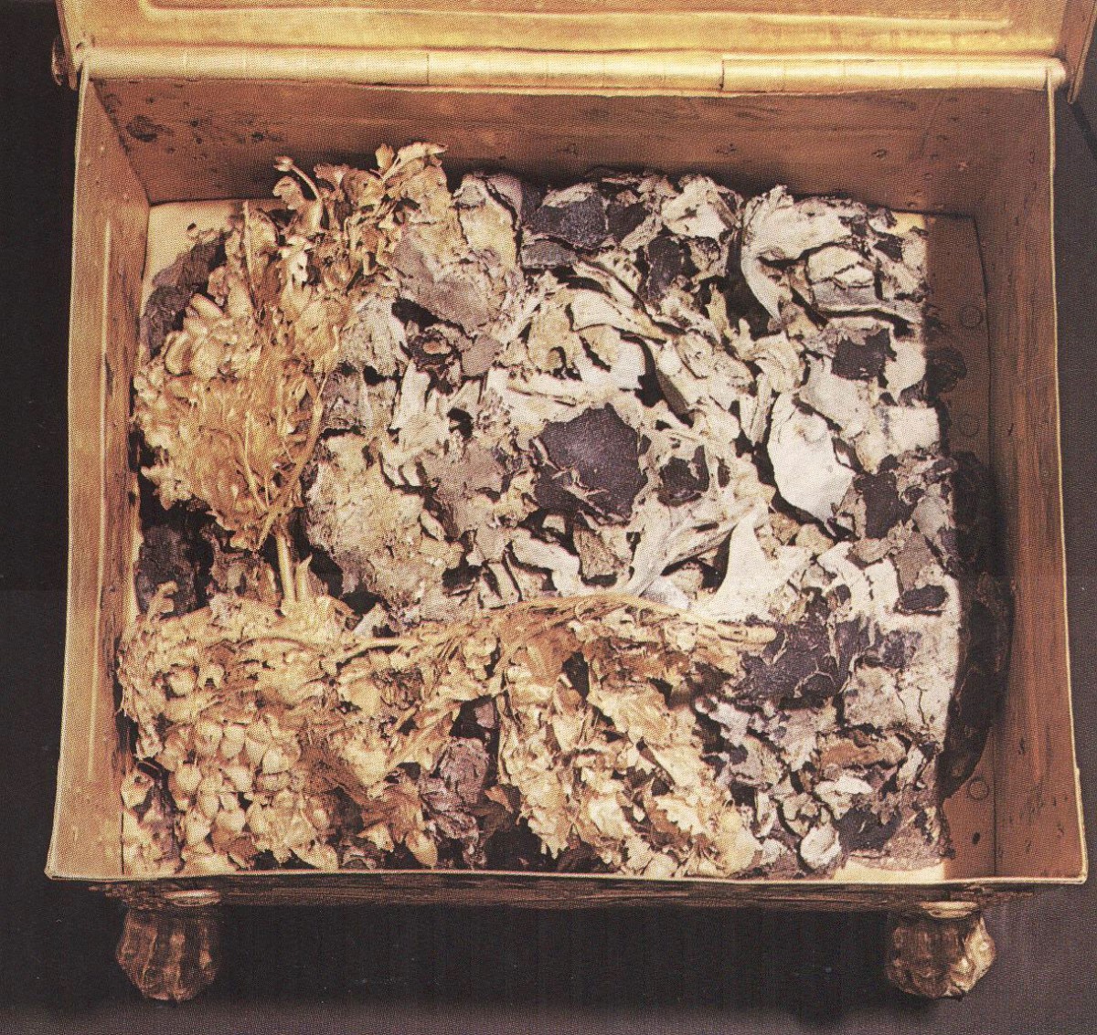 Εικ. 1. Το εσωτερικό της χρυσής λάρνακας από το θάλαμο του τάφου ΙΙ στη Μεγάλη Τούμπα της Βεργίνας. Διακρίνονται πάνω από τα οστά το χρυσό στεφάνι βελανιδιάς και τα θραύσματα πορφύρας και χουντίτη.