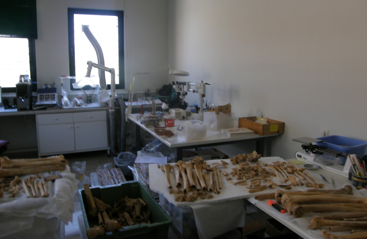 Εργαστήριο συντήρησης, Αρχαιολογικό Μουσείο Άρτας