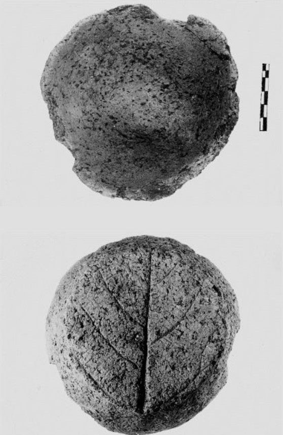 Αμοργός, Κυκλαδικὰ ἀπανθίσματα