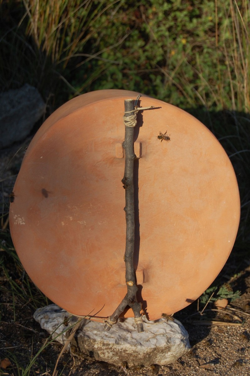 Εικ. 3. Η οριζόντια κυψέλη μετά την εγκατάσταση σ' αυτήν μελισσιού.