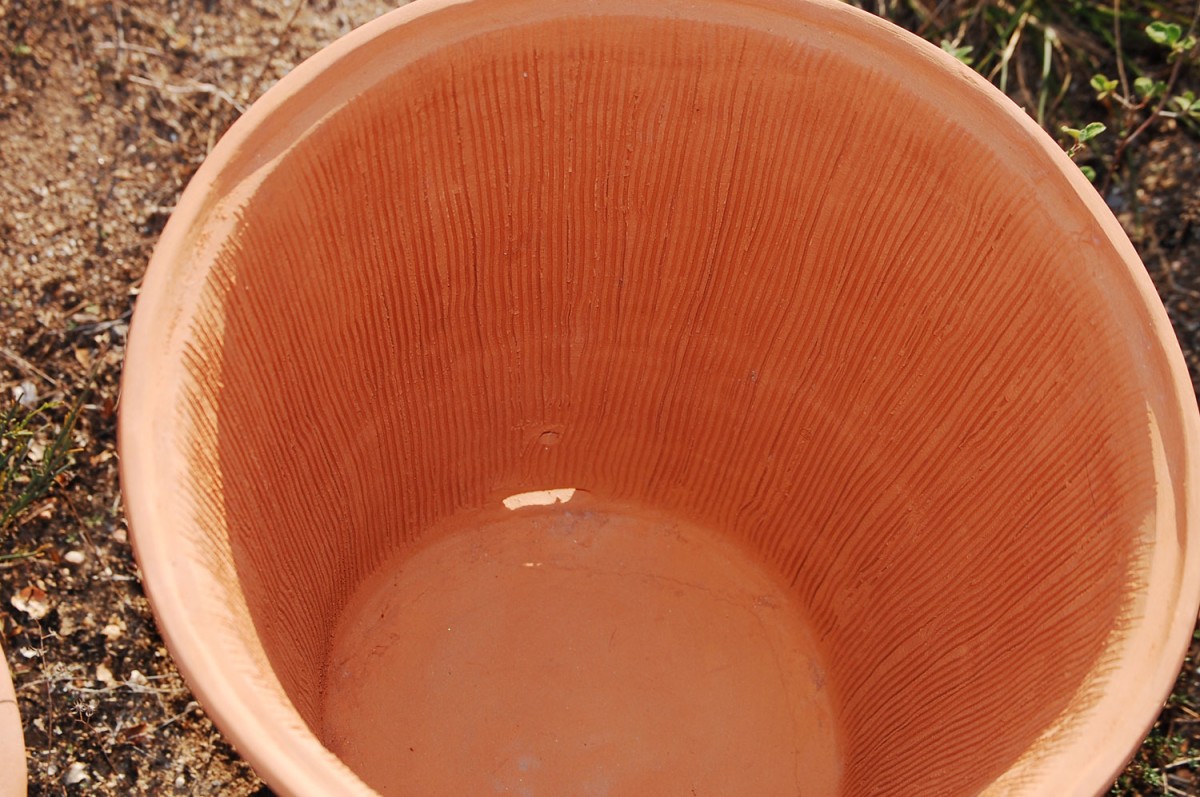 Εικ. 5. Το εσωτερικό της κάθετης κυψέλης με τις χαρακτηριστικές εγχαράξεις.