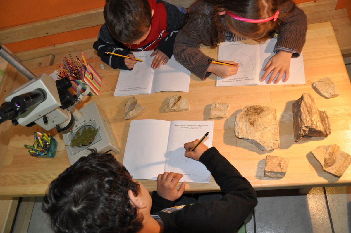 Μελετώντας απολιθώματα στο Μουσείο Φυσικής Ιστορίας Βόλου.