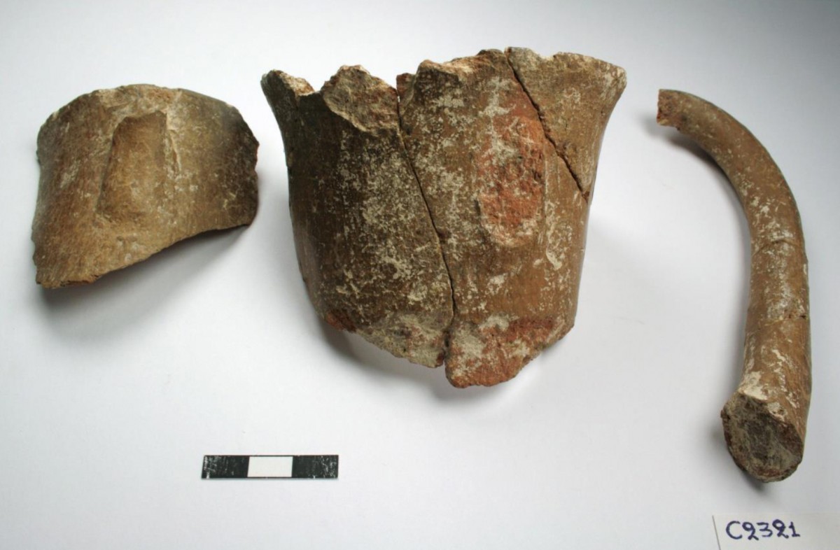 Εικ. 2. Δέπας αμφικύπελλον από τη Φάση Γ του Δασκαλιού.