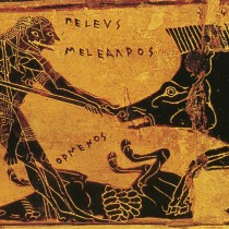 Ο σεβασμός των αρχαίων Ελλήνων για την άγρια πανίδα